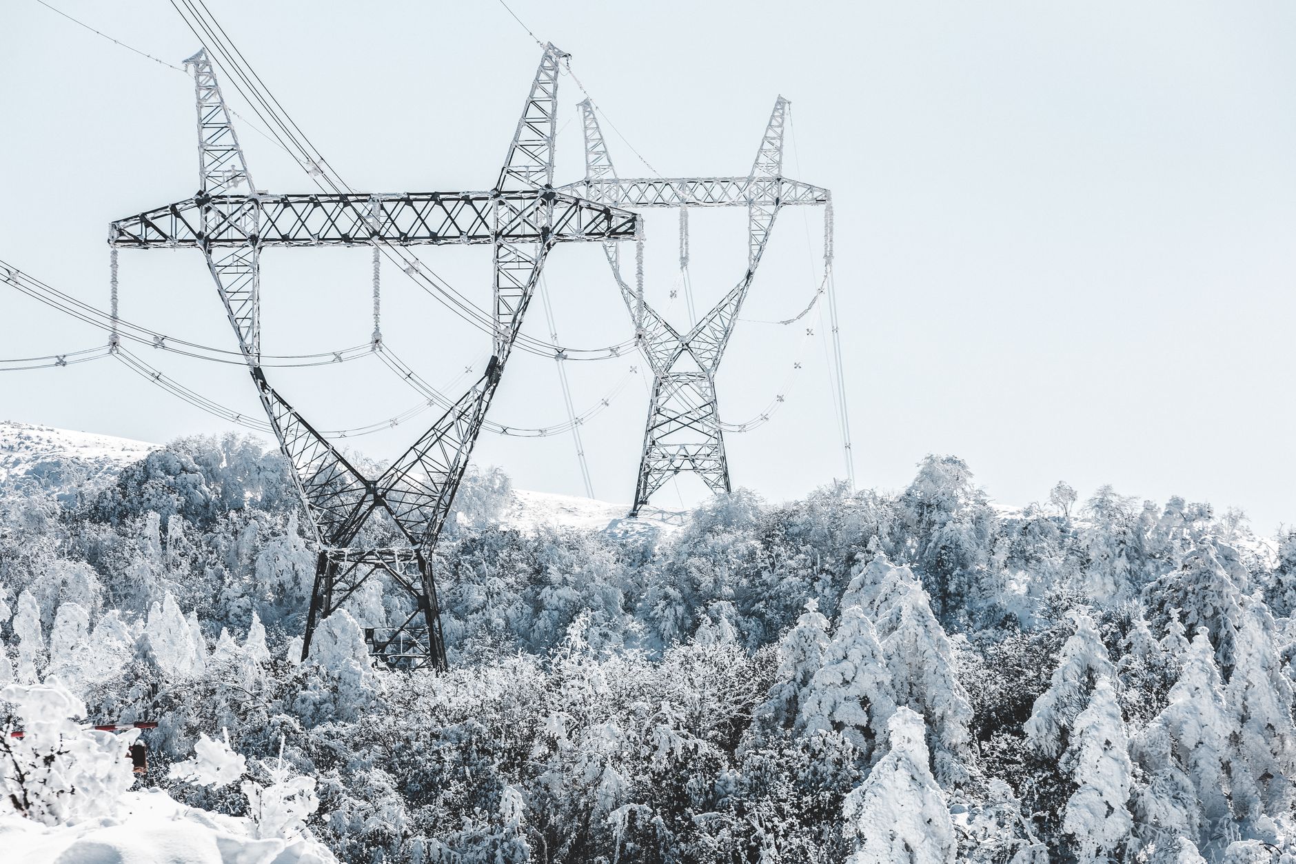 A scenic view of transmission towers amidst snow-covered trees during winter.