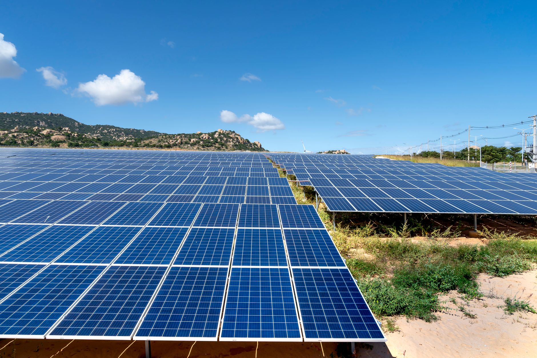A vast field of solar panels harnessing solar energy on a sunny day.