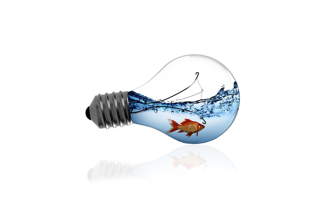 fish, nature, bulb, fish in a bulb