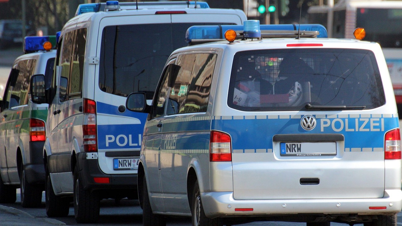 police, police operation, security, police car