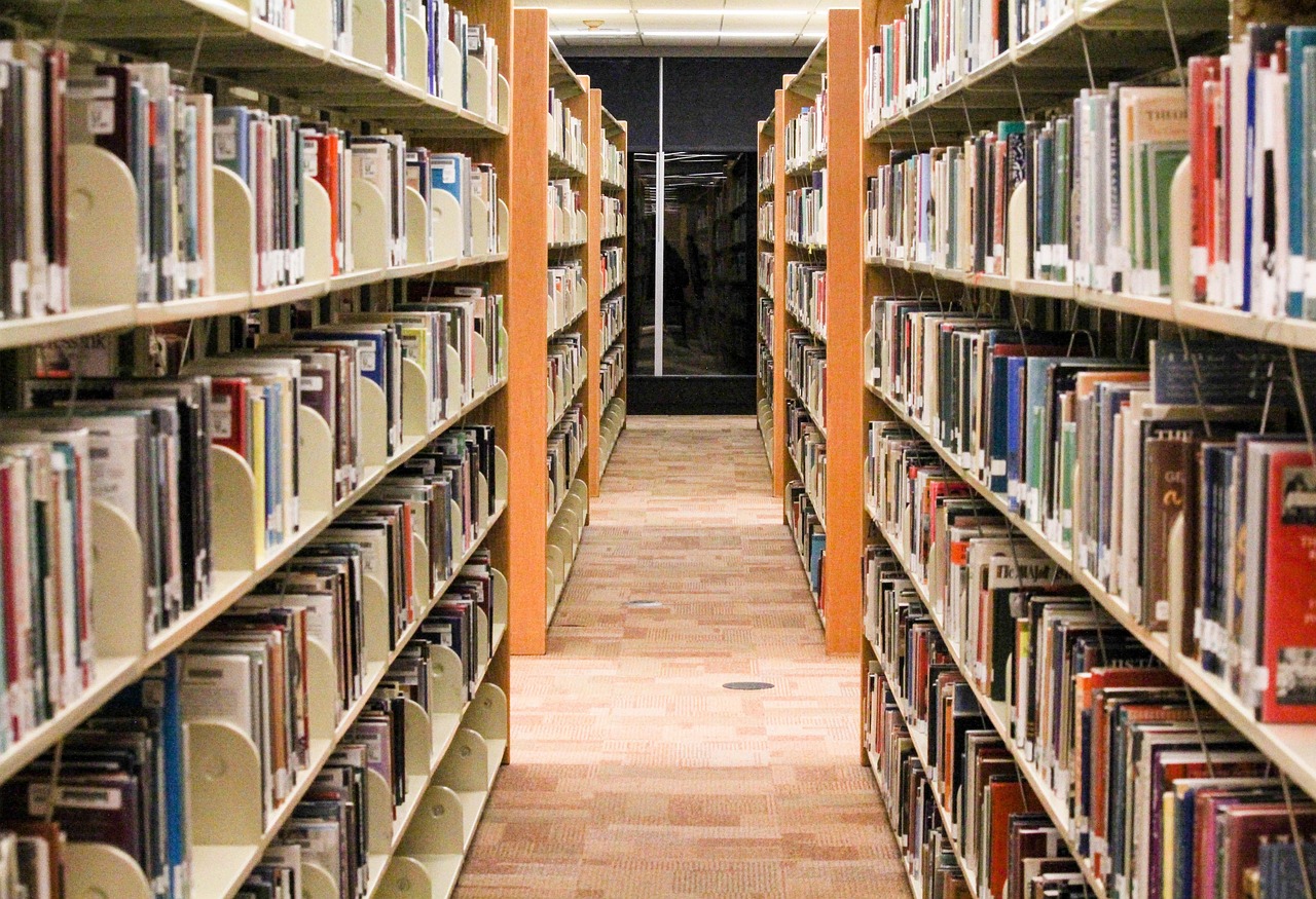 shelf, bookcase, library, row, order, brown library, bookcase, bookcase, bookcase, bookcase, bookcase, library, library, order, order, order