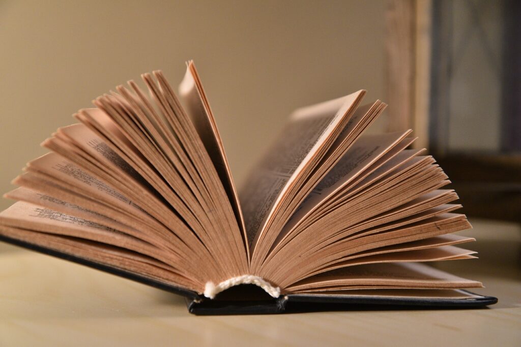 a book, read a book, literature, to learn, in the evening read, library, read, old books, old book, antiquarian